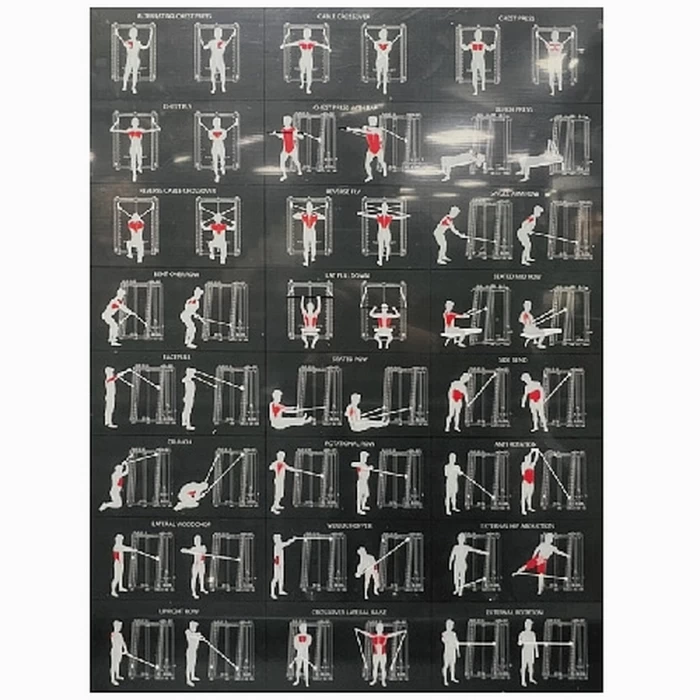 Daugiafunkcinis jėgos treniruoklis Bodi Dynamic TO-FT06 - 2x50kg PRO Daugiafunkcinis jėgos treniruoklis Bodi Dynamic TO-FT06 - 2x50kg PRO