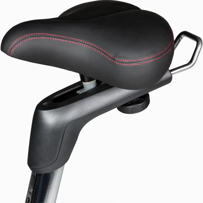Dviratis treniruoklis Flow Fitness Turner DHT2500i LED